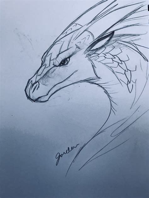 Winter | Dragon sketch, Wings of fire dragons, Dragon pictures