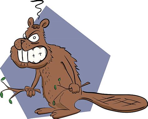 Best Cartoon Of The Angry Beavers Illustrations, Royalty-Free Vector ...