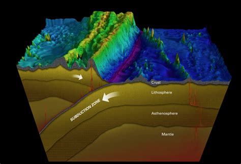 In Photos: ROV Explores Deep Ocean Trench | Live Science