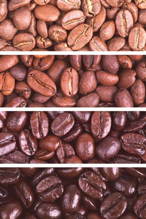 Coffee Bean Appearance Pathology - moveless 2