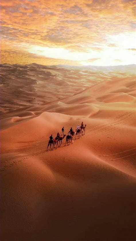 Arabs, camel, desert, HD phone wallpaper | Peakpx