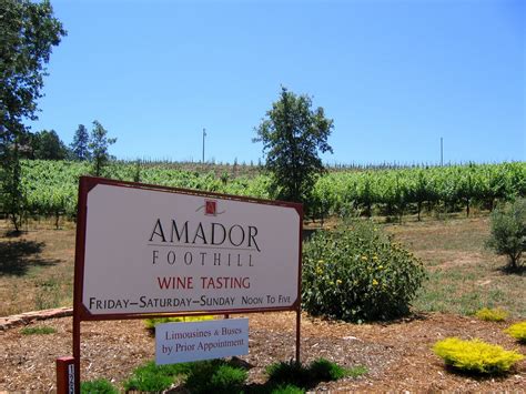 Amador County Wineries | Amador county, Wine tasting getaway, Calaveras county