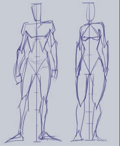 Simple Sycra Anatomy | Anatomy reference, Body reference drawing, Human ...