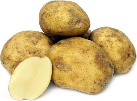 Kennebec Potatoes: Applications, Recipes, and Nutritional Value