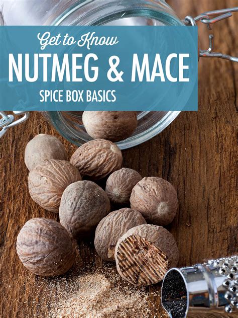 The Spice Box: Getting To Know Nutmeg & Mace | Food Bloggers of Canada