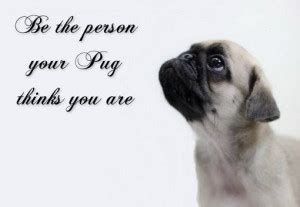 Pug Love Quotes. QuotesGram