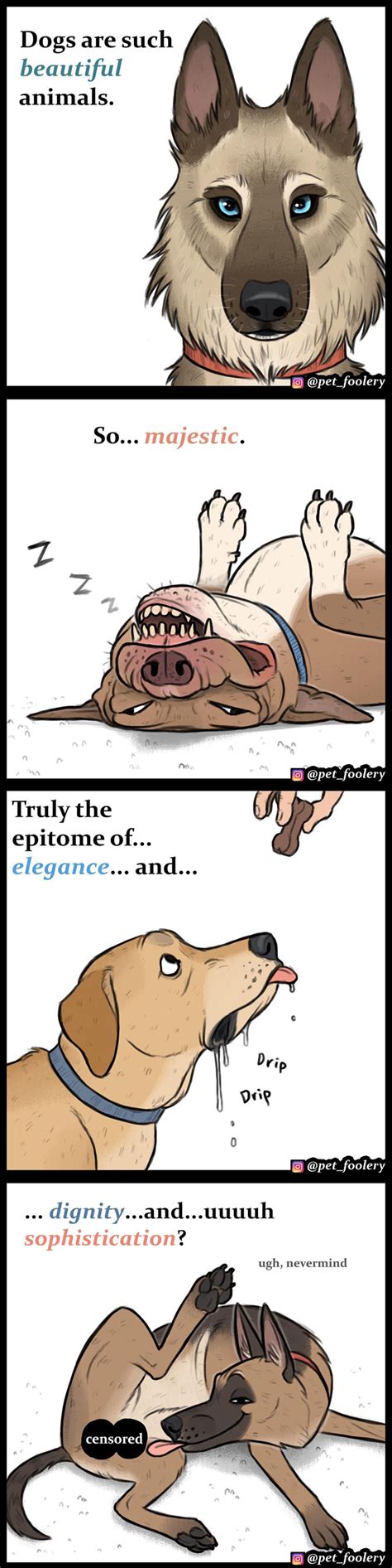 30 Funny Comics About Animals By Pet Foolery | Bored Panda