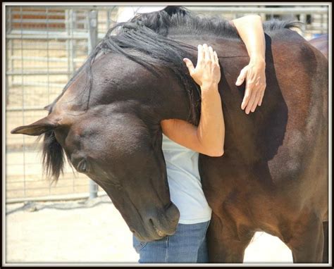 Horse Hug! | Horses, Good night beautiful, Animals