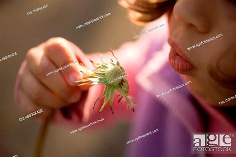 Young girl blowing dandelion clock, Stock Photo, Picture And Royalty Free Image. Pic. CUL ...