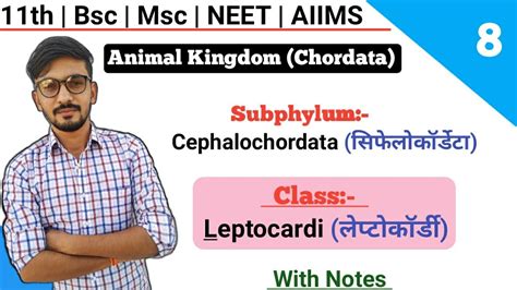 Subphylum:- Cephalochordata || Class:- Leptocardi || Classification Of Chordates || By Dadhich ...