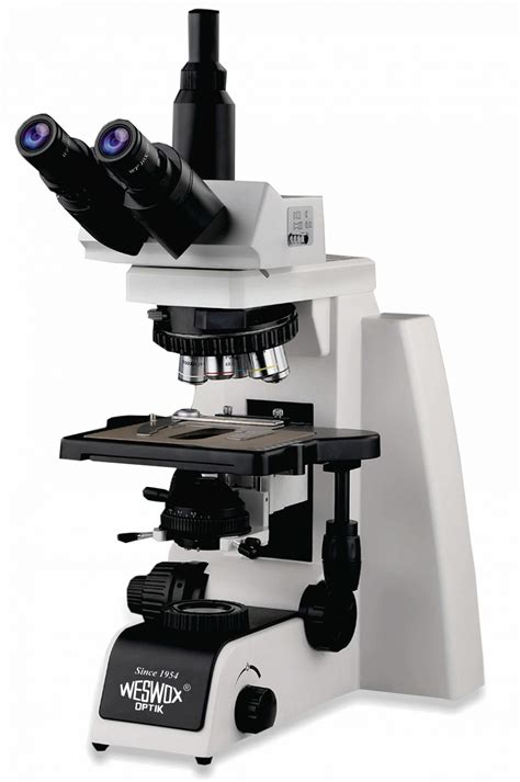 LIFE Science Research Microscope | Weswox Scientific Industries