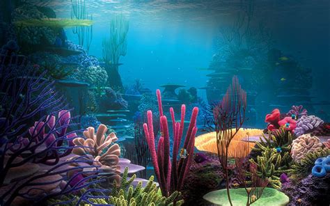 50+ Best Aquarium Backgrounds | Free & Premium Templates