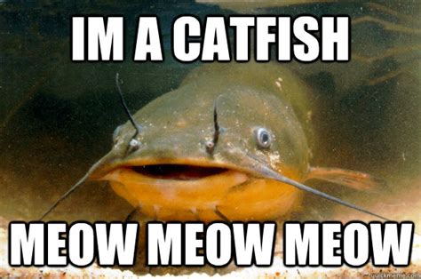 IM a CATFISH MEOW MEOW MEOW - catfish - quickmeme