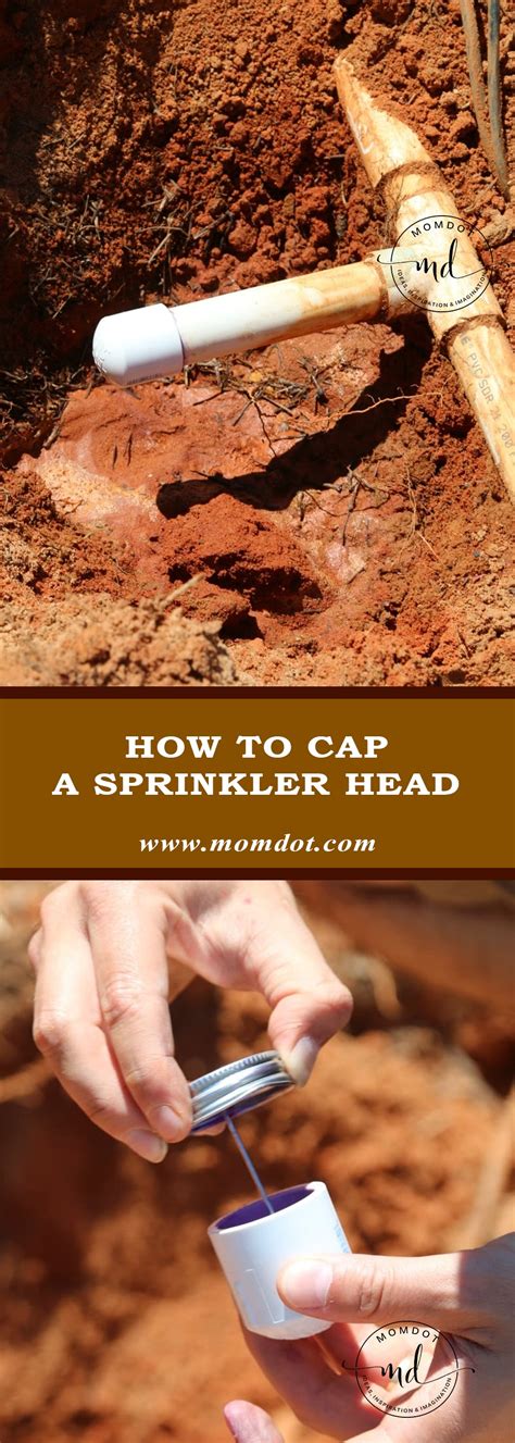 How to cap a Sprinkler head DIY - Momdot.com