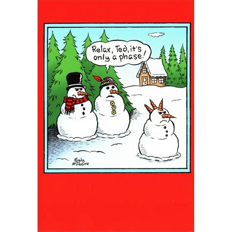 Nobleworks Only a Phase Box of 12 Funny / Humorous Christmas Cards ...