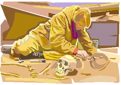 Archaeologist PNG Vector Images with Transparent background ...