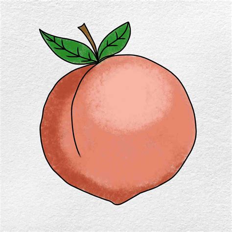 How To Draw A Peach Really Easy Drawing Tutorial - vrogue.co