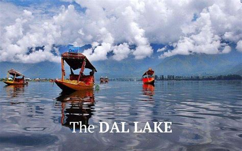 Dal Lake: The Heart of Srinagar | Kashmirica