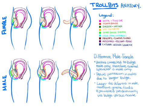 homestuck anatomy - Google Search | Homestuck comic, Homestuck trolls ...