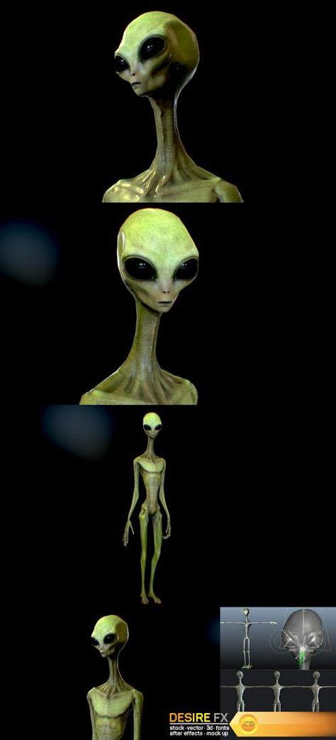 Alien Life Forms