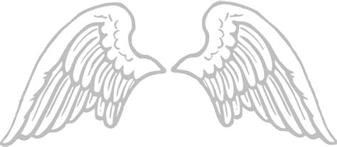 White Angel Wings PNG Image Background