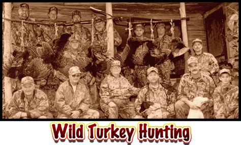 Wild Turkey Hunting