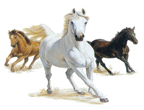 3 Horses Painting at PaintingValley.com | Explore collection of 3 ...