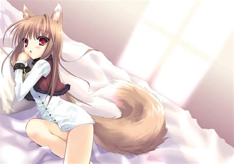 Spice and wolf - Spice and wolf Fan Art (41407523) - Fanpop