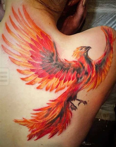 Pin by Megan Ohde on Tattoos | Phoenix tattoo, Tattoos, Phoenix tattoo ...