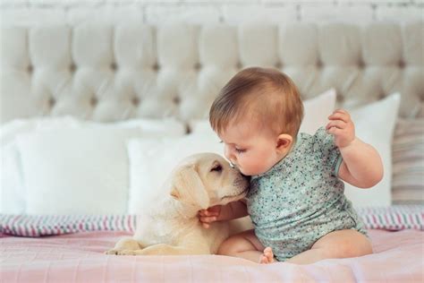 27 Precious Photos of Dogs and Babies That Will Melt Your Heart