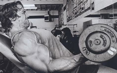 Arnold Schwarzenegger Bodybuilding, Workout Routine and Diet Plan