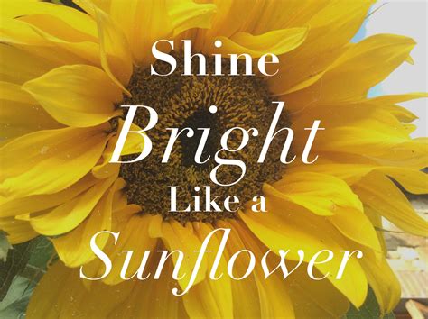 Sunflowers shine the brightest! #sunflower #quotes #summer #positive #autumn #fall #affirmations ...