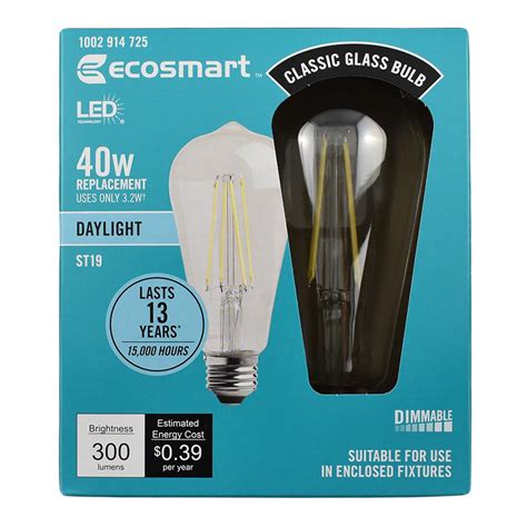EcoSmart 40-Watt Equivalent ST19 Dimmable Clear Filament Vintage Style LED Light Bulb Daylight ...