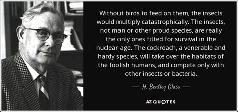 H. Bentley Glass quote: Without birds to feed on them, the insects would multiply...