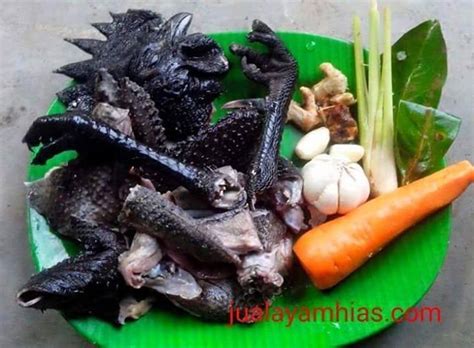 Ayam Cemani Chicken : 9 Interesting Information About Cemani Chicken That You Must Know