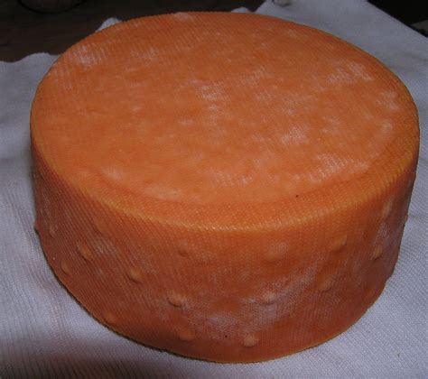 Cheese Making - Hard Cheeses : 12 Steps (with Pictures) - Instructables