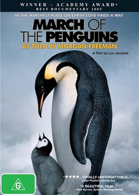 Buy March Of The Penguins DVD Online | Sanity