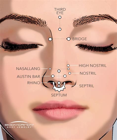 Septum Piercing Size Chart