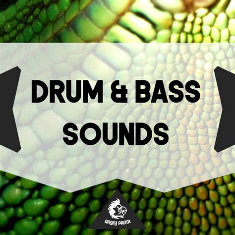 Drum & Bass Sounds | W. A. Production