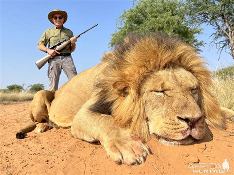 Lion Hunt South Africa | AfricaHunting.com