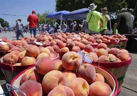 Porter Peach Festival: After 50 years of the fest, organizers and ...