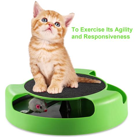 iMountek Cat Interactive Scratching Toy w/ Rotating Running Mouse Catching Plate Non-toxic Claw ...