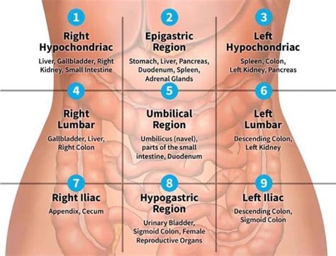 How To Do Self Abdominal Massage For Bloating And Constipation