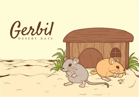 Gerbil Drawing