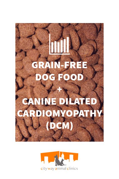 Grain-Free Dog Food + Canine Dilated Cardiomyopathy (DCM) | Dog food recipes, Grain free dog ...