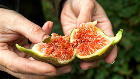 The Types Of Figs You Should Peel Before Eating