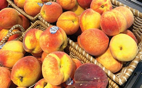 The uniqueness of the South Carolina peach | Produce News