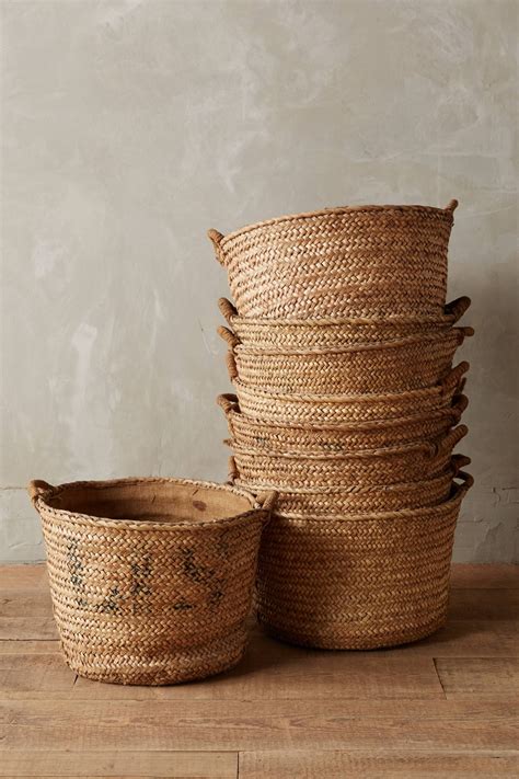 Harvest Baskets | Harvest basket, Basket, Storage baskets