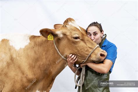 Portrait of female farmer wearing green apron looking in camera and kissing Guernsey cow ...