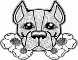 Bull Terrier Coloring Pages At GetDrawings  Free Download sketch template